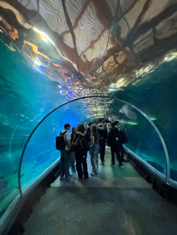 75aa80ba-c3a7-4278-9582-39d664f8a898