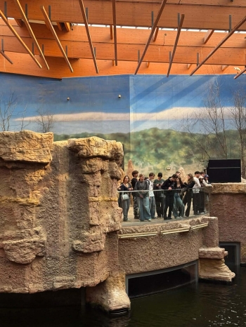 5d50e618-36f3-4c63-9295-77abf9bf389c