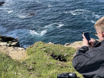 s16.jpeg