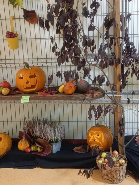 Święto Dyni w Internacie