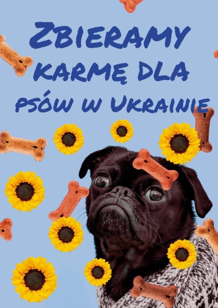 Zbiórka karmy dla zwierząt z ukraińskiego schroniska pod Lwowem 